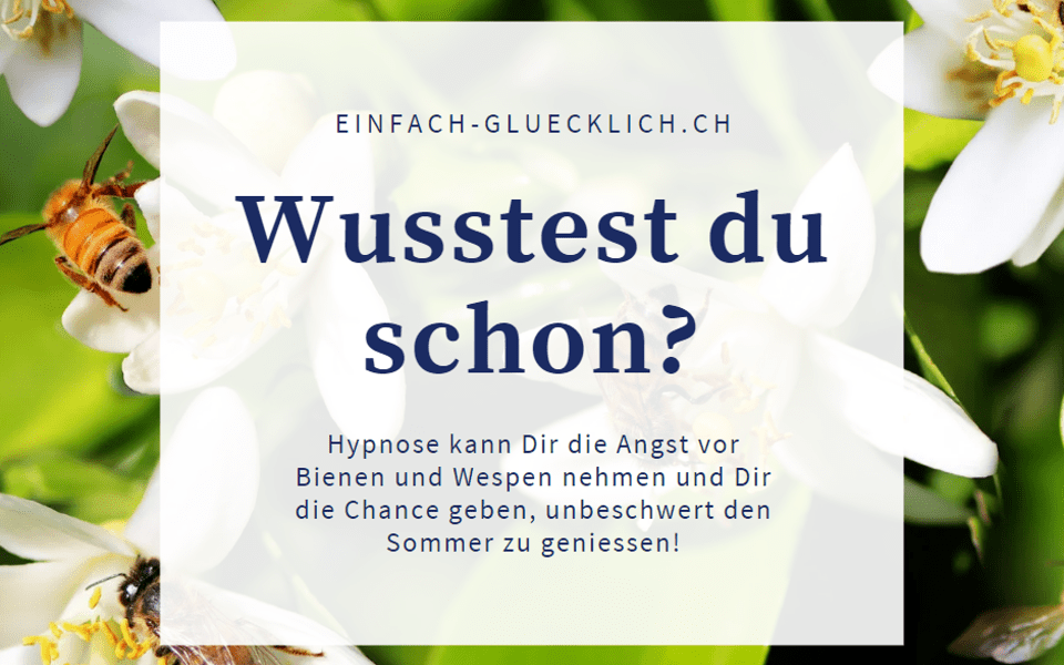 Angst vor Bienen & Wespen? Dass muss nicht sein… 