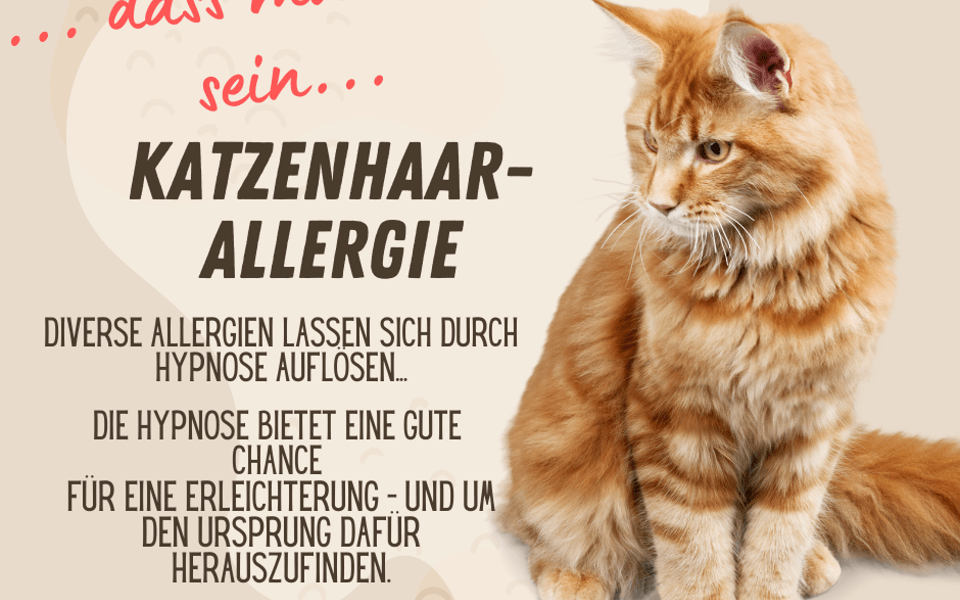 Tierhaar-Allergie 